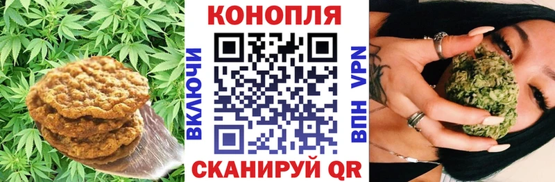 Cannafood конопля  darknet Telegram  Ленинградская 