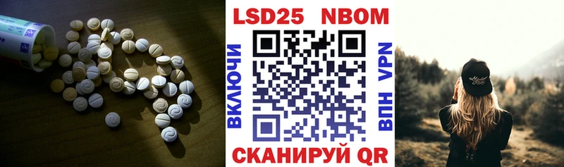kraken tor Ленинградская ЛСД экстази ecstasy