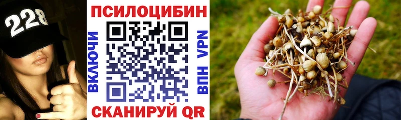 магазин продажи   Ленинградская  Псилоцибиновые грибы GOLDEN TEACHER 